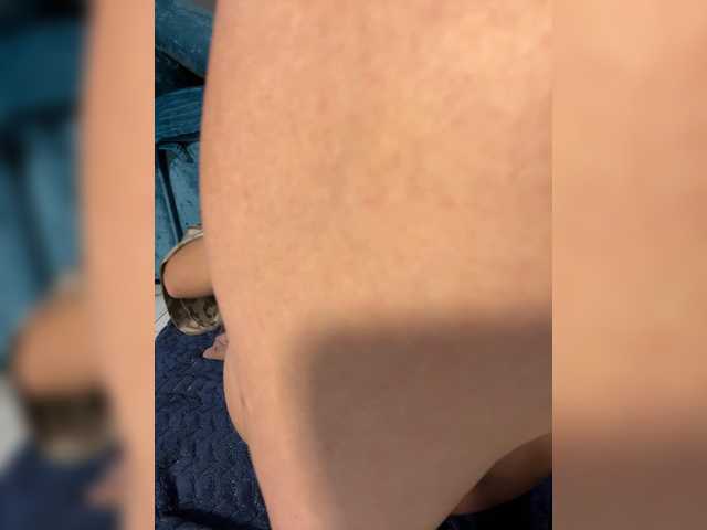 wild__cat