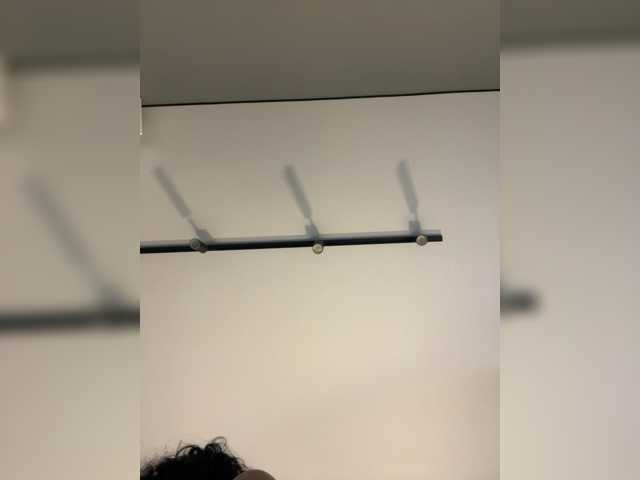 wild__cat live cam preview