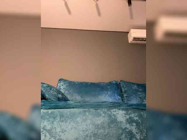 wild__cat webcam