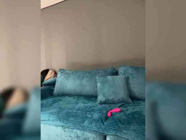 wild__cat webcam