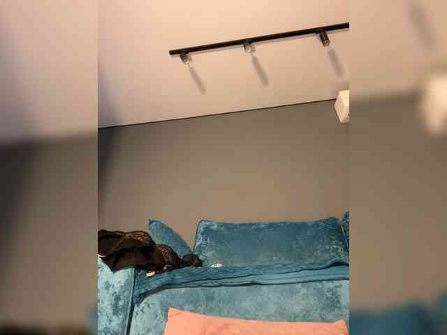 wild__cat webcam