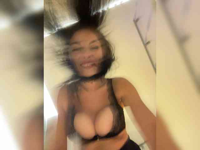 wild__cat webcam