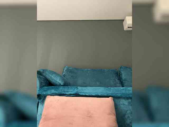 wild__cat webcam