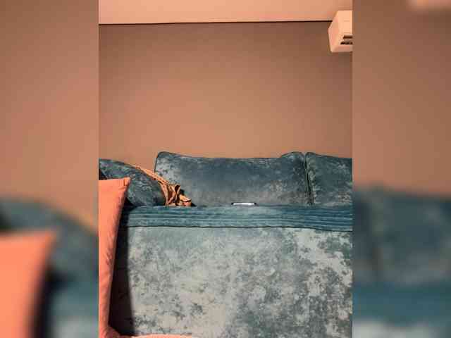 wild__cat