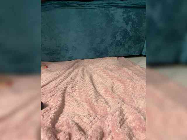 wild__cat webcam