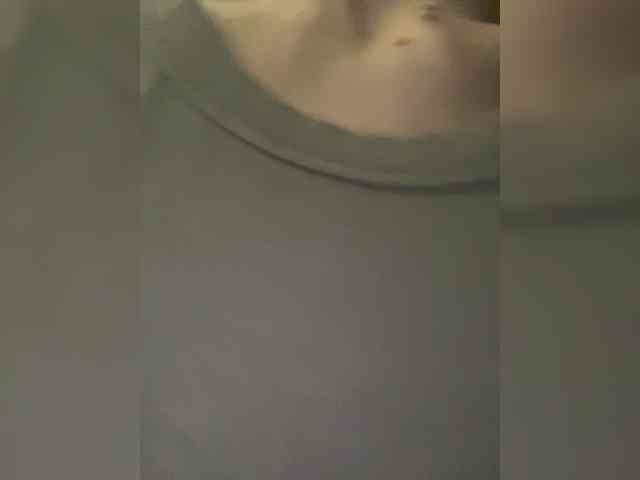 wild__cat webcam