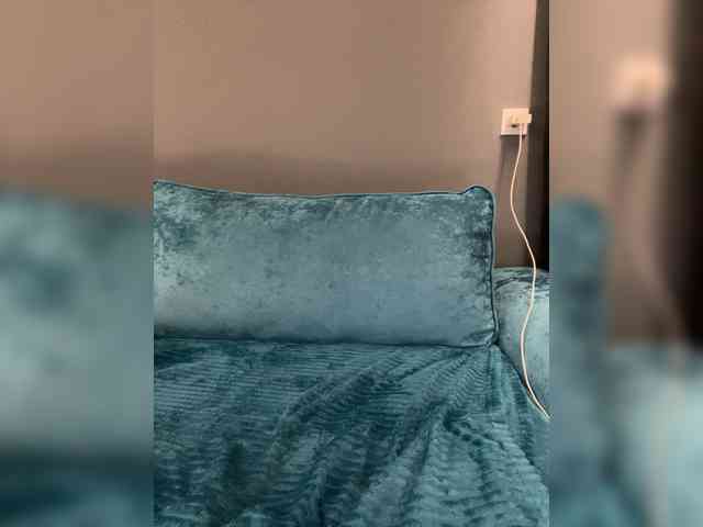 wild__cat webcam