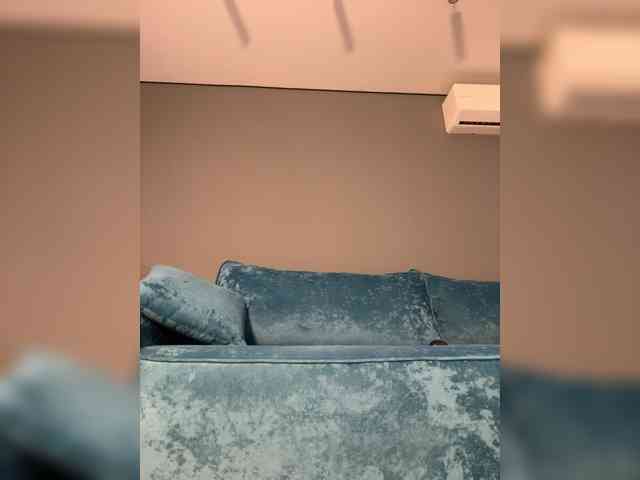 wild__cat webcam