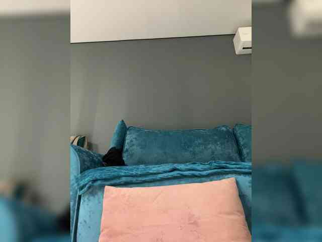 wild__cat webcam