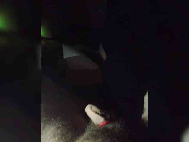 Zimela webcam