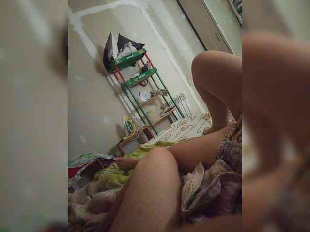 Zimela webcam