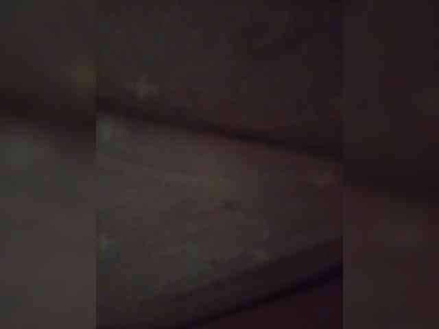 Zimela webcam