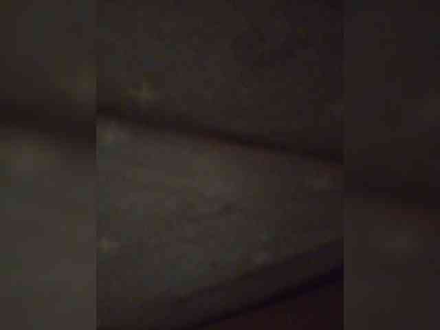 Zimela webcam