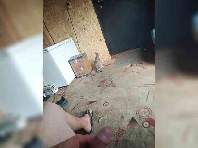 Zimela webcam