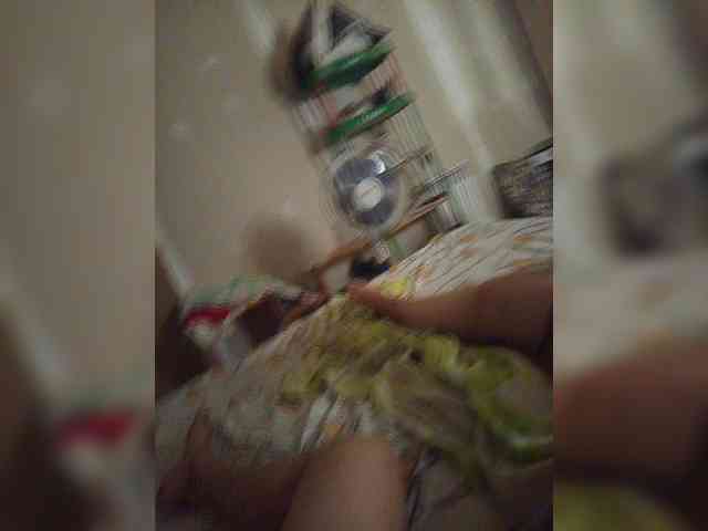 Zimela webcam