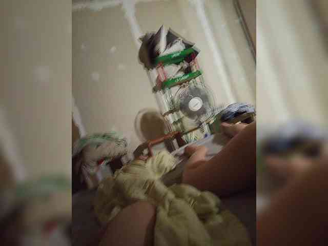 Zimela webcam