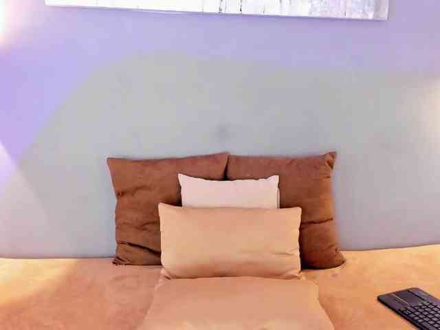 Stephanni webcam