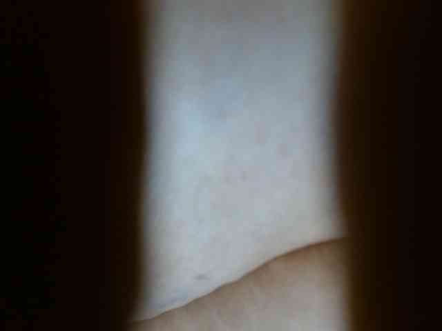 yessika-bustamante webcam
