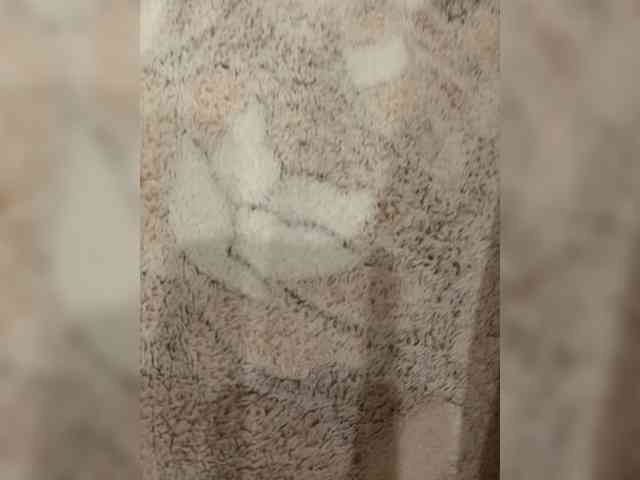 miking0 Live Webcam on BongaCams