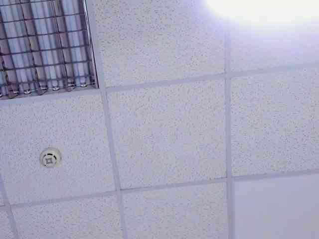 AlexisSky webcam