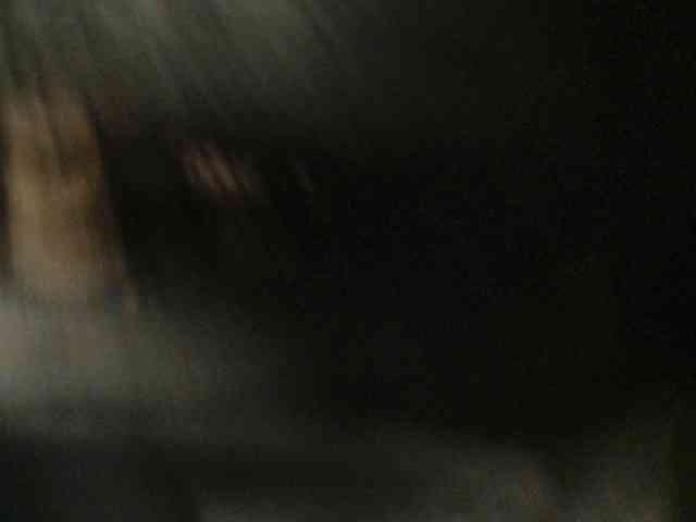 MiaLaFoxis Sex Cam Show
