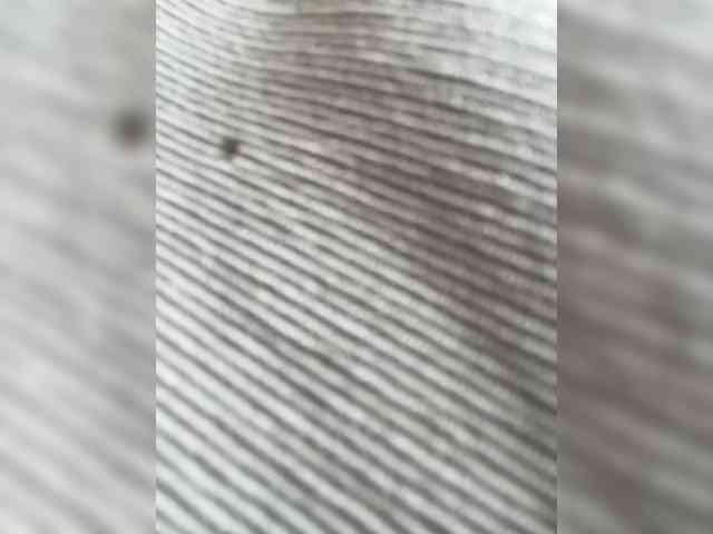 AliceLaKatana webcam