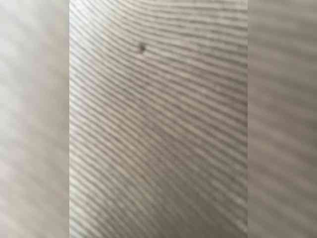 AliceLaKatana webcam