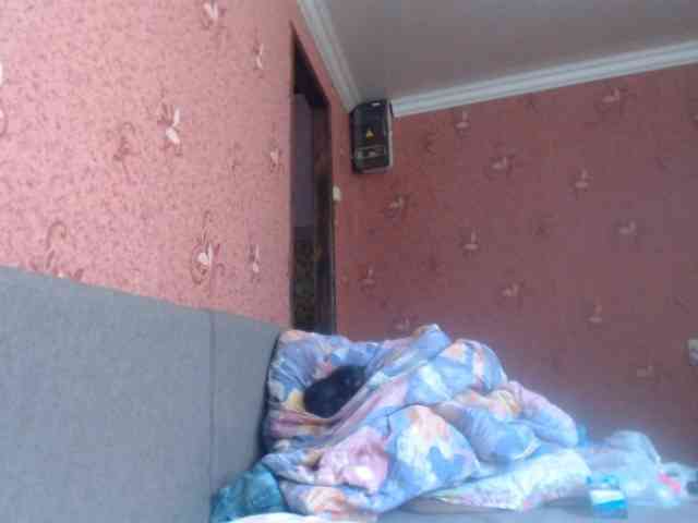 AliceLaKatana webcam