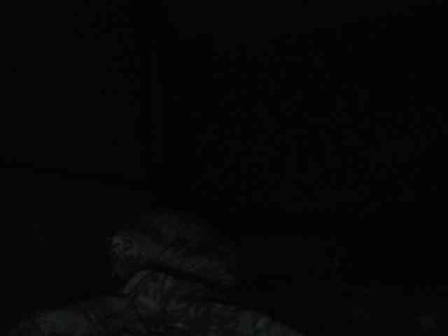 AliceLaKatana webcam