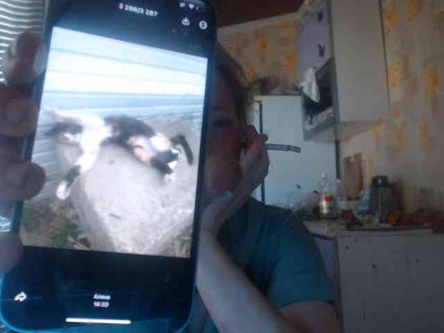 AliceLaKatana webcam
