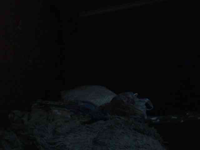 AliceLaKatana webcam