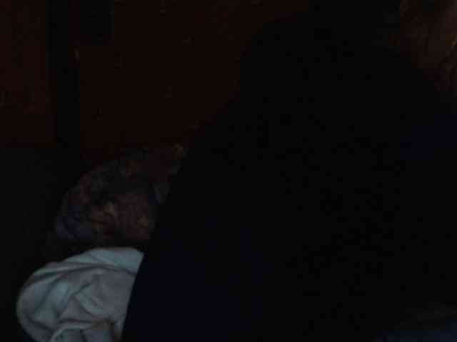 AliceLaKatana webcam