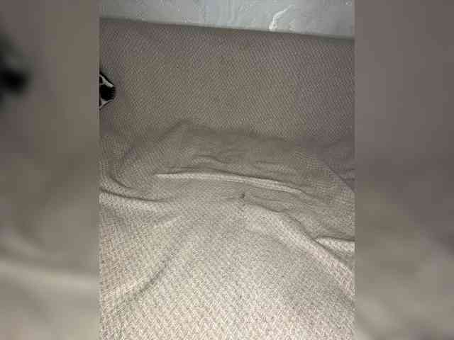 Beronikka webcam