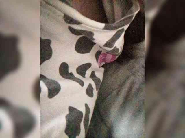 Nika0000 webcam