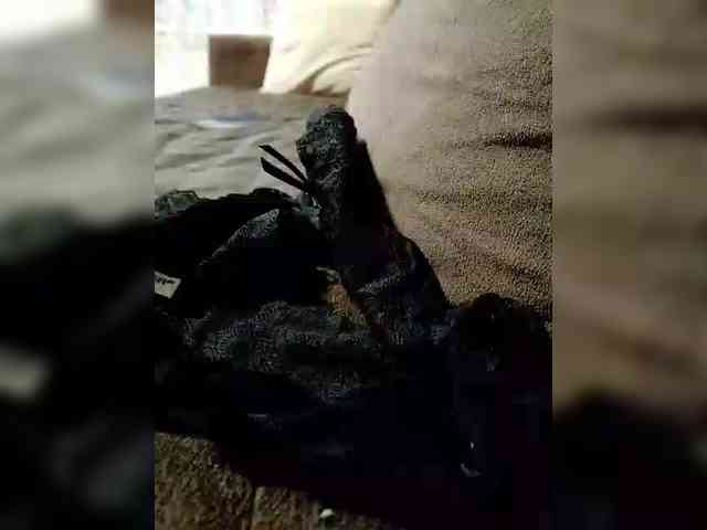 Nika0000 webcam