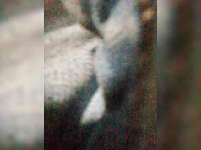 Nika0000 webcam