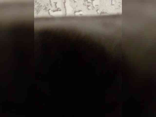 Nika0000 webcam
