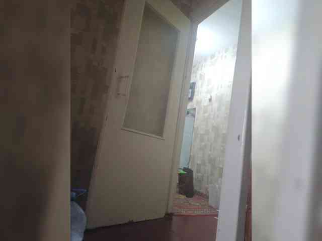 CocoKat webcam