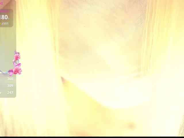 WARTHUNDER webcam