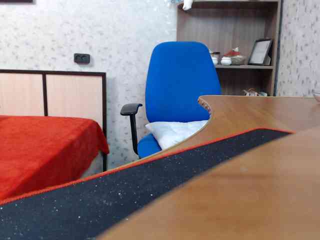 VasilisaGold webcam