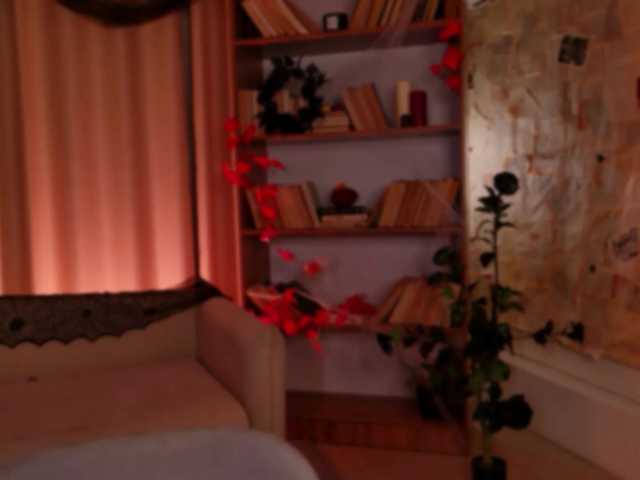 LisaAndDenis live cam on BongaCams