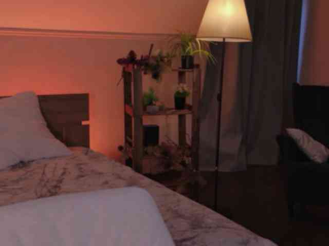 LisaAndDenis Live Webcam on BongaCams