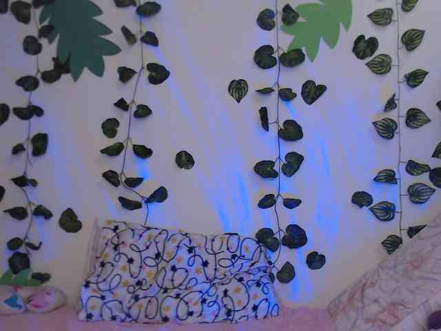 1kaii webcam