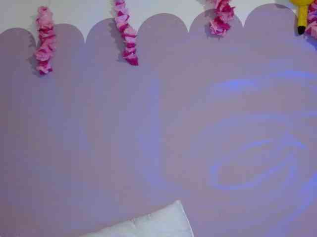 1kaii webcam