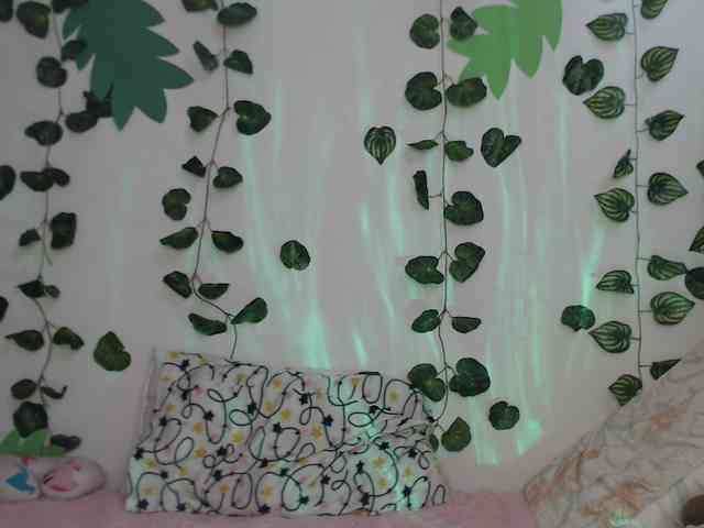 1kaii webcam