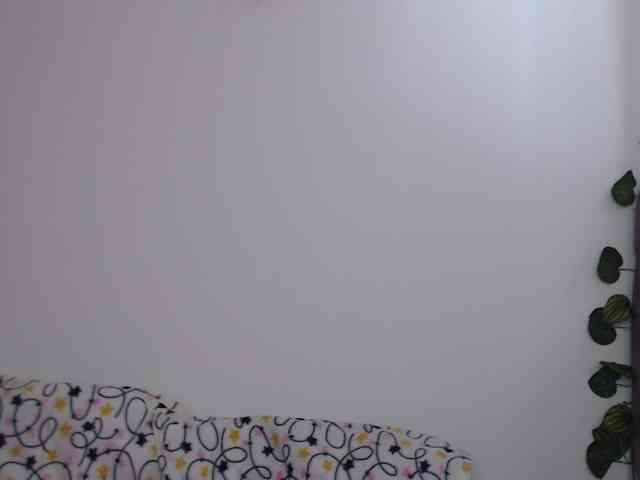 1kaii webcam