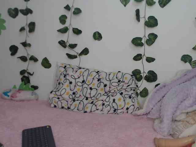 1kaii webcam
