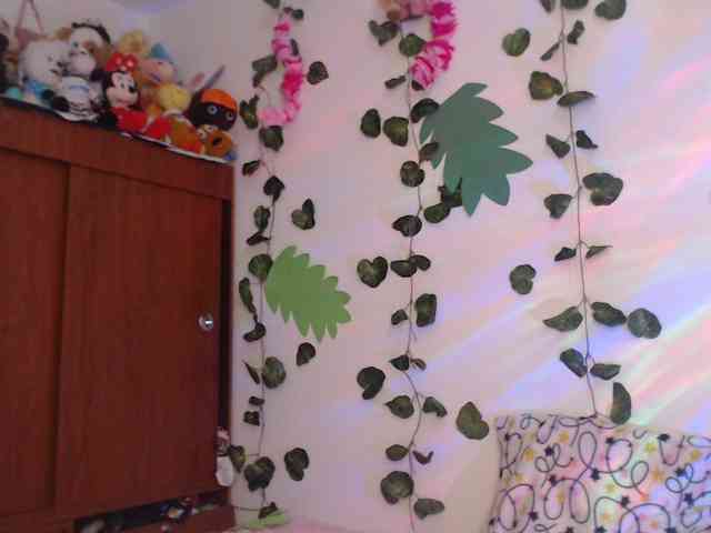 1kaii webcam