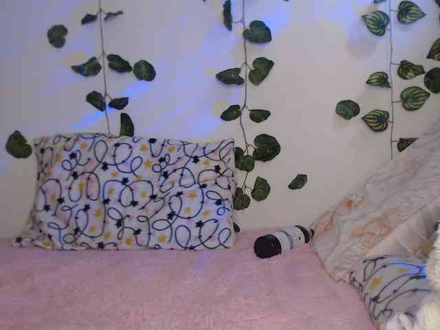 1kaii webcam