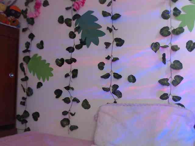 1kaii webcam